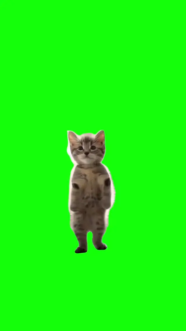 123 (2)