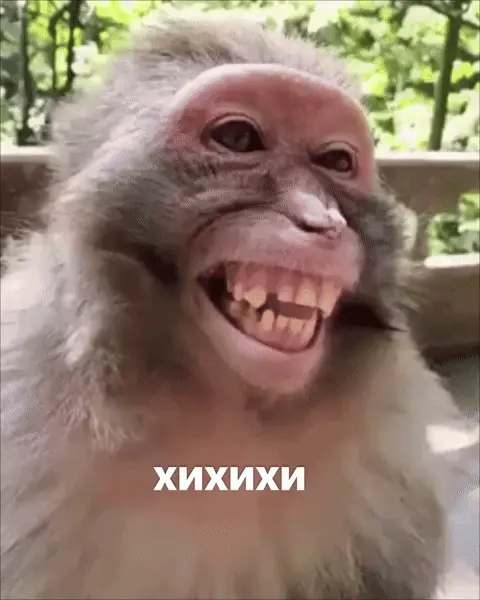 Хихихи: смеющаяся обезьяна