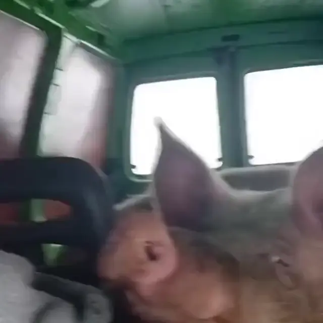 Вася, да успокойся ты!