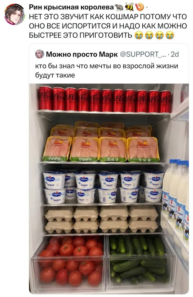 Мечты во взрослой жизни и страх испорченных продуктов
