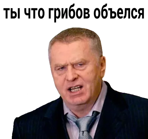 Ты что грибов объелся