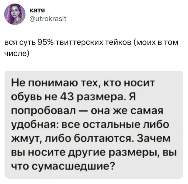 Вся суть твиттерских тейков