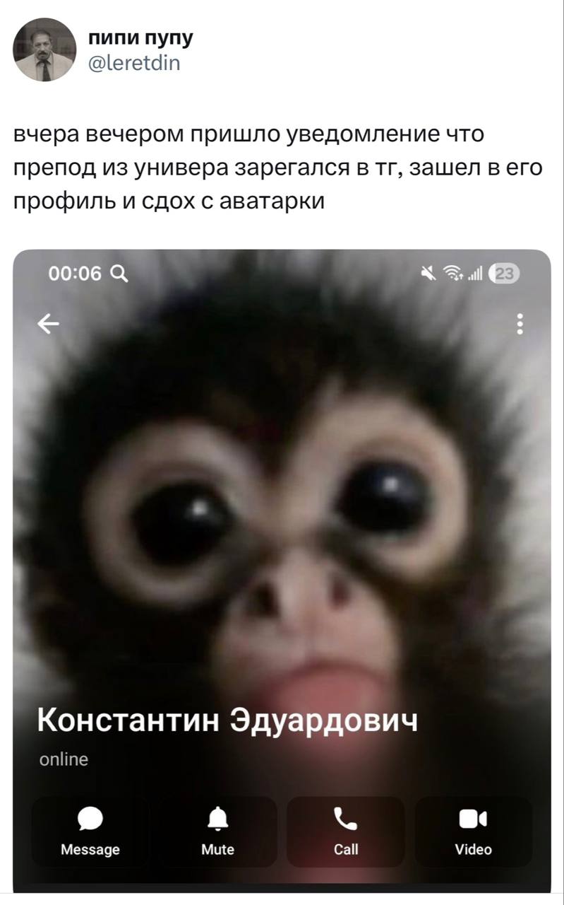 Аватарка препода в телеграме