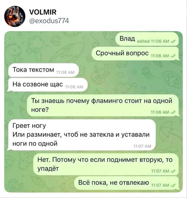 Срочный вопрос про фламинго