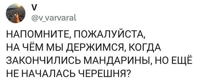 Статичное изображение текста твита. — автор поста @v_varvaral