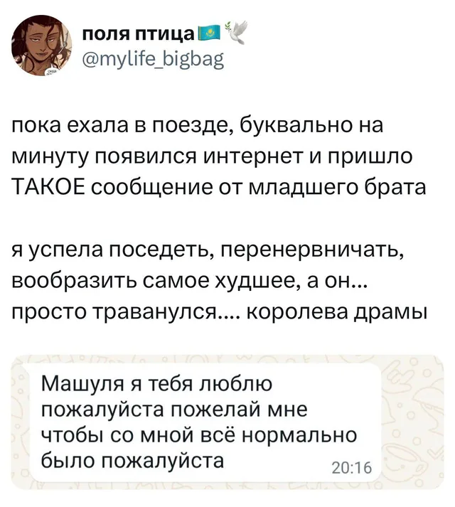 Статичное изображение текста поста и сообщения. — автор поста (поля птица), младший брат