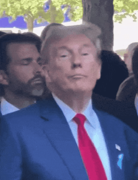 Трамп одобряет