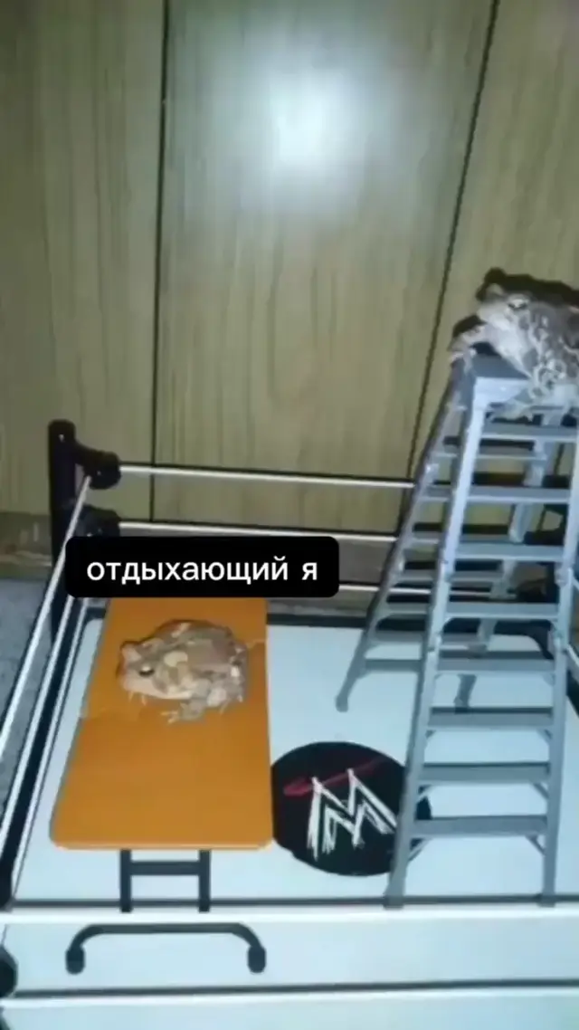 Внезапный понедельник атакует отдыхающего