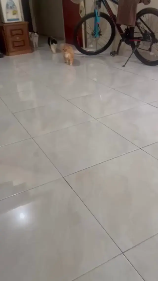 Кошачья походка от бедра
