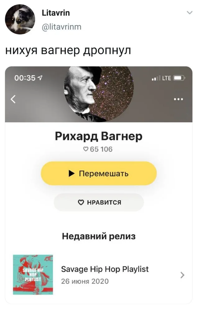 Статичное изображение, демонстрирующее ошибку алгоритмов стриминга. — Рихард Вагнер