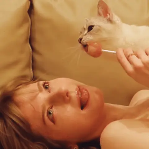 Кот ритмично облизывает леденец, который держит девушка, периодически прищуриваясь от удовольствия. — девушка с леденцом, светлый кот