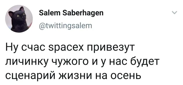 Статичное изображение текста твита. — автор поста с ником Salem Saberhagen