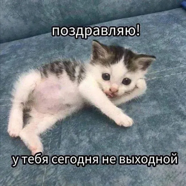 Поздравляю! У тебя сегодня не выходной