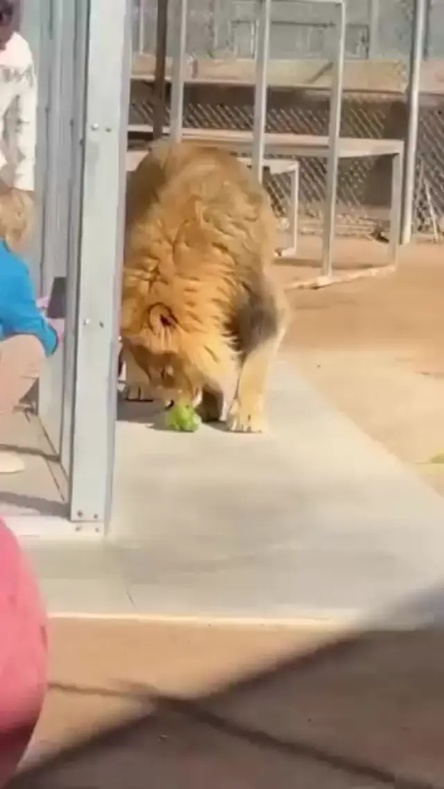 Эээ, брат, что это?