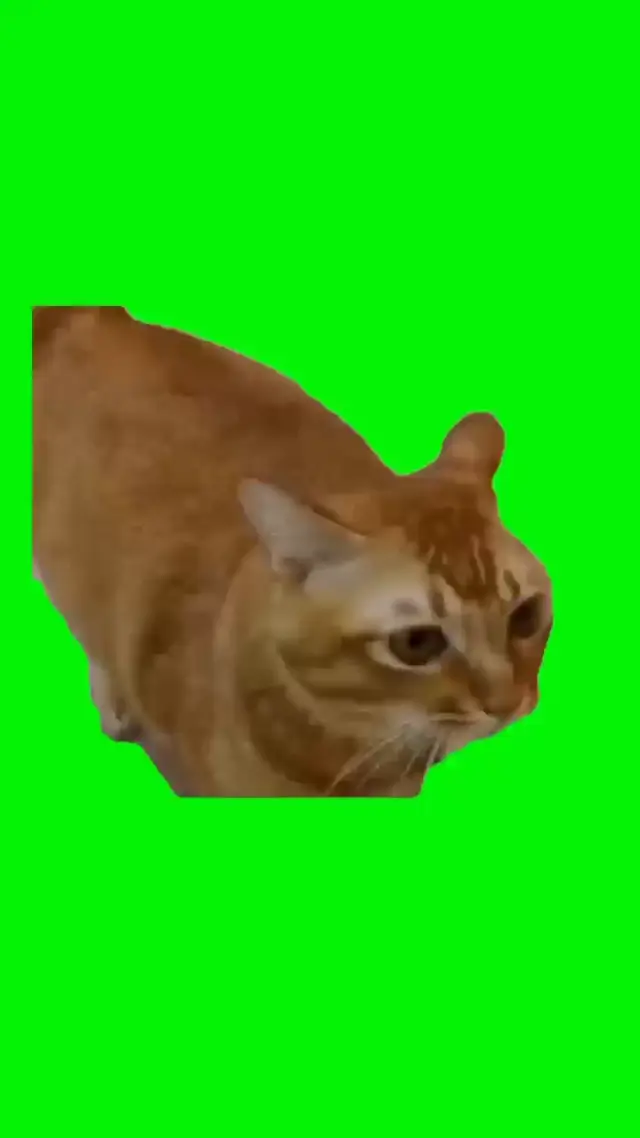 Поющий рыжий кот на зеленом фоне