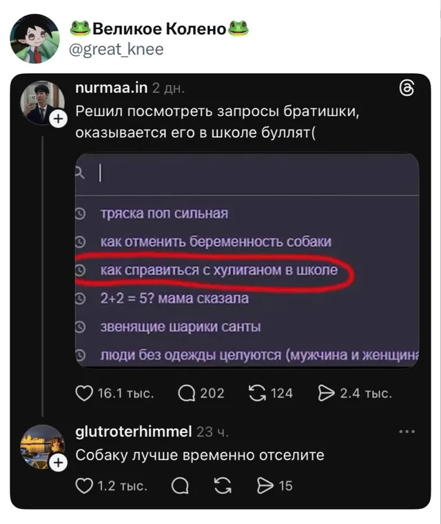 Запросы братишки в поисковике
