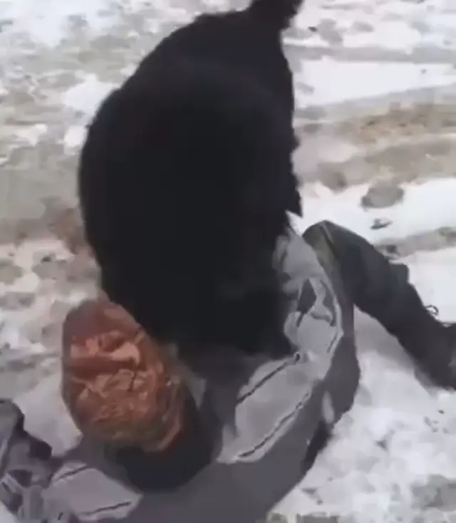 Огромная собака напала с любовью
