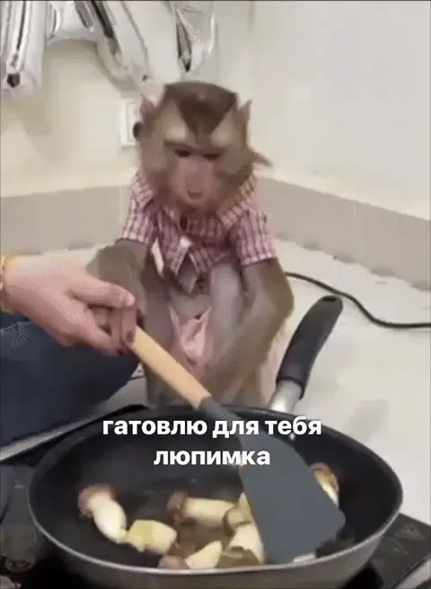Готовлю для тебя, любимка