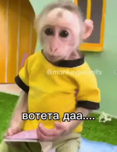 Обезьяна чешет голову: вотета даа....
