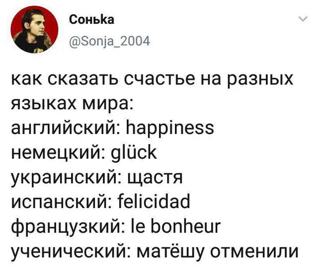 Скриншот твита со списком переводов слова «счастье» — Автор твита (парень на аватарке)