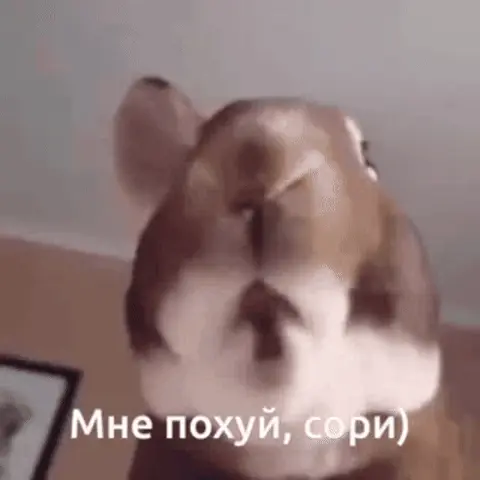 Мне похуй, сори