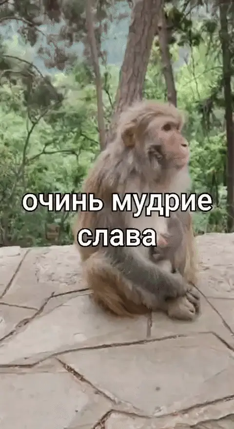 Очинь мудрие слава