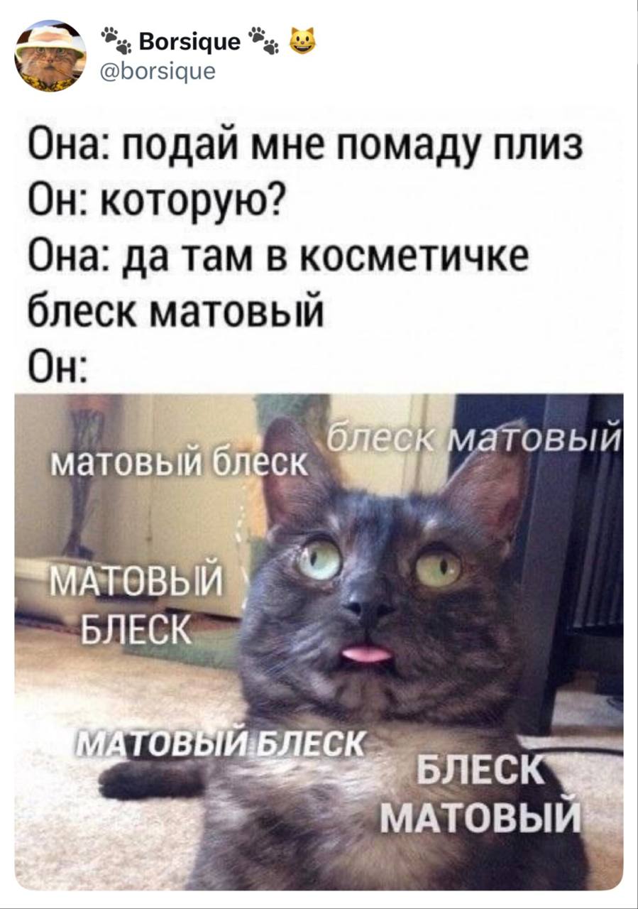 Матовый блеск