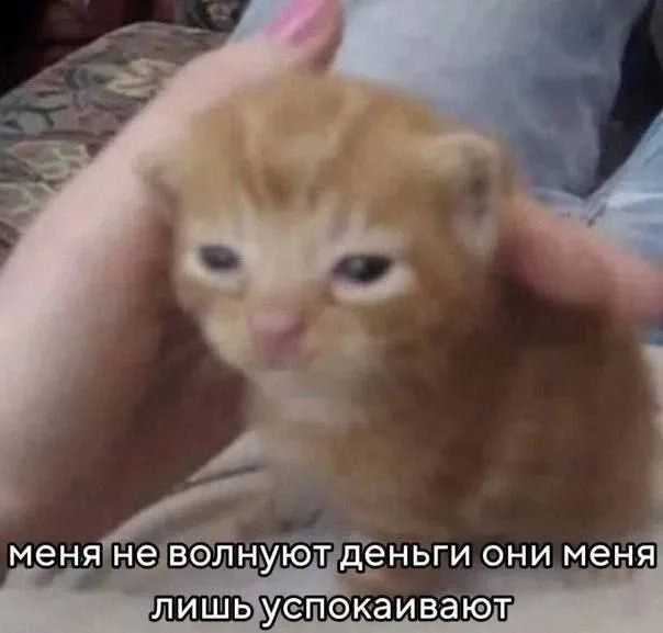 Меня не волнуют деньги, они меня успокаивают
