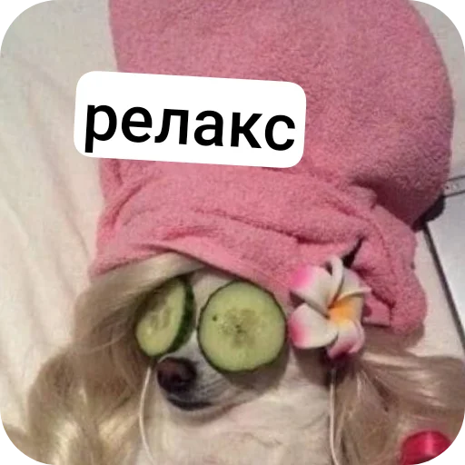 file 1236448