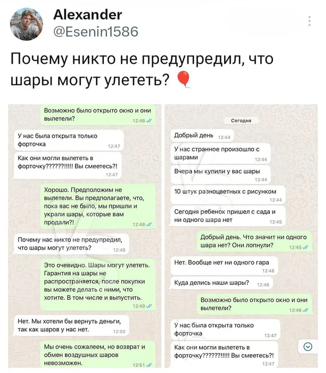 Статичное изображение, демонстрирующее переписку, где покупатель требует вернуть деньги за улетевшие шары, а продавец пытается доказать абсу