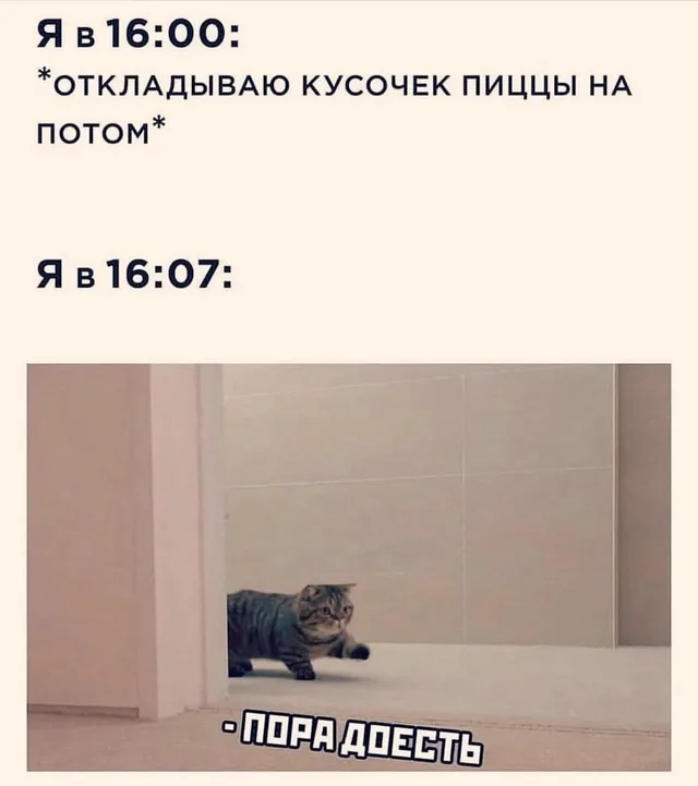 Пора доесть: когда отложил пиццу на потом