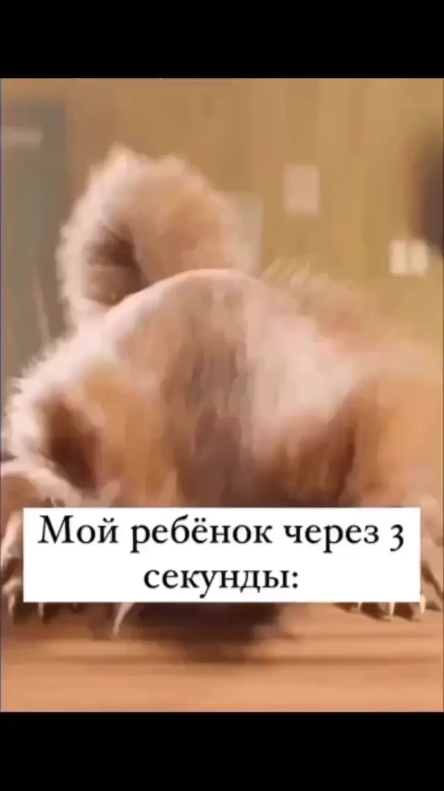 Мой ребёнок через 3 секунды