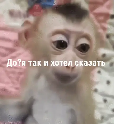 До? Я так и хотел сказать
