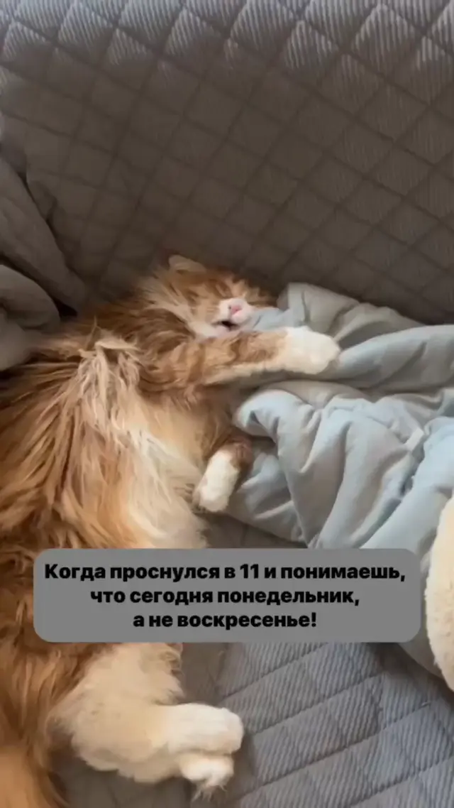 Проснулся в понедельник вместо воскресенья