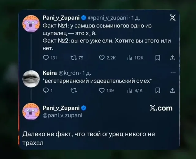 Пользователь Pani_v_Zupani делает провокационное заявление про осьминогов, пользователь Keira иронизирует над этим с позиции вегетарианца, н