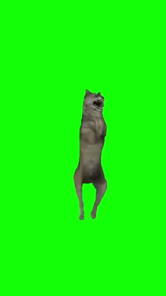 Танцующий волк на зеленом фоне