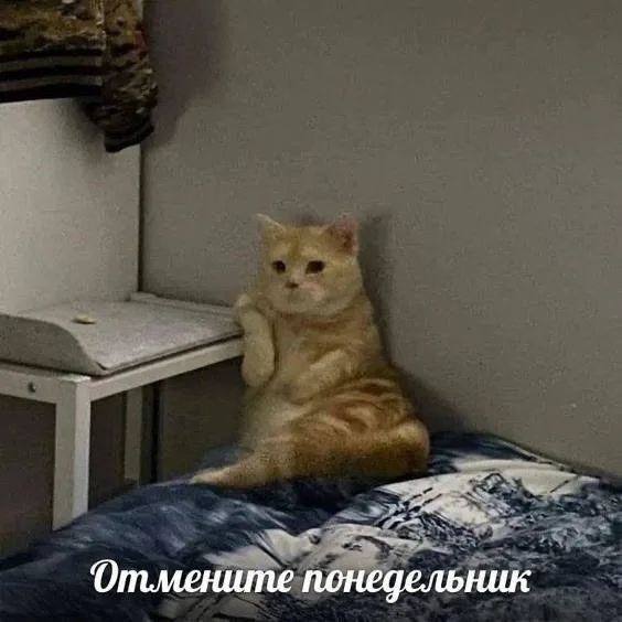 Отмените понедельник