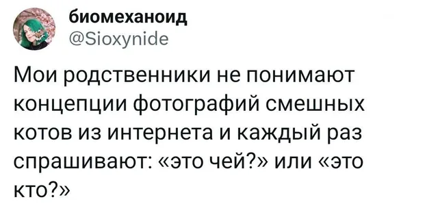 Скриншот твита с текстом на белом фоне — автор поста