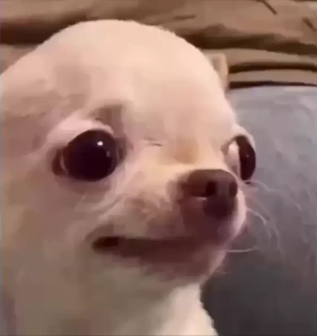 Когда попросили мило улыбнуться для фото