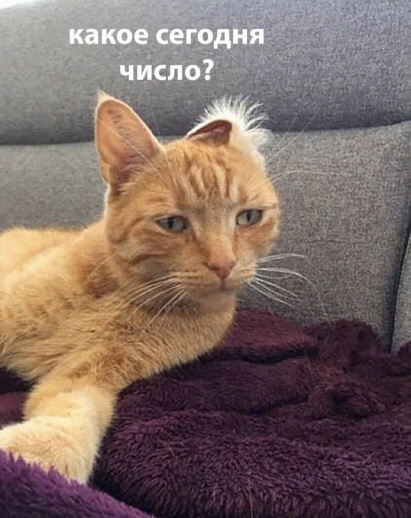 Какое сегодня число?