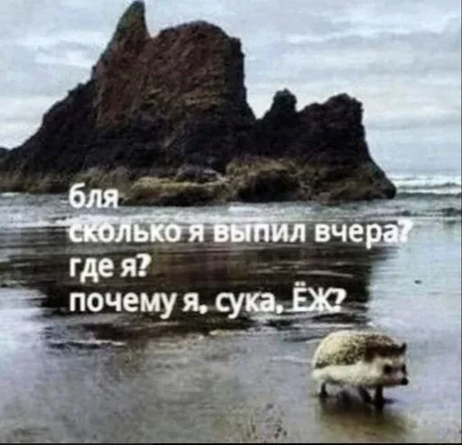 Ёжик стоит на месте, глядя в сторону горизонта.