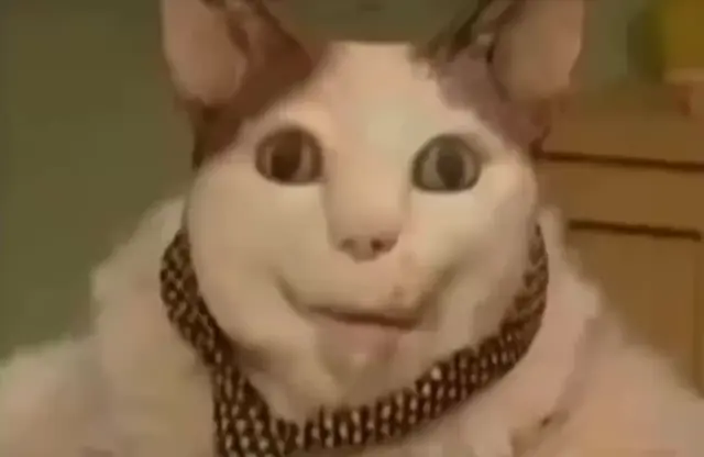Бу! Испугался? Не бойся, я друг