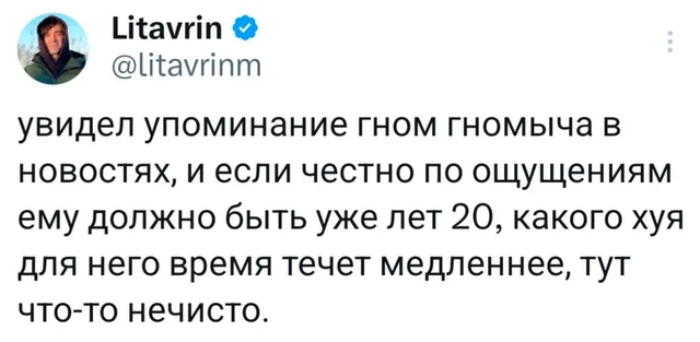 Гном Гномыч и замедление времени