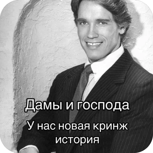 Статичное изображение, персонаж просто позирует. — Арнольд Шварценеггер