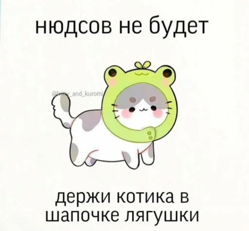 Нюдсов не будет — держи котика