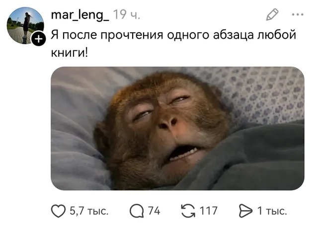 Обезьяна лежит в постели под одеялом с сонным выражением лица — автор поста @mar_leng_