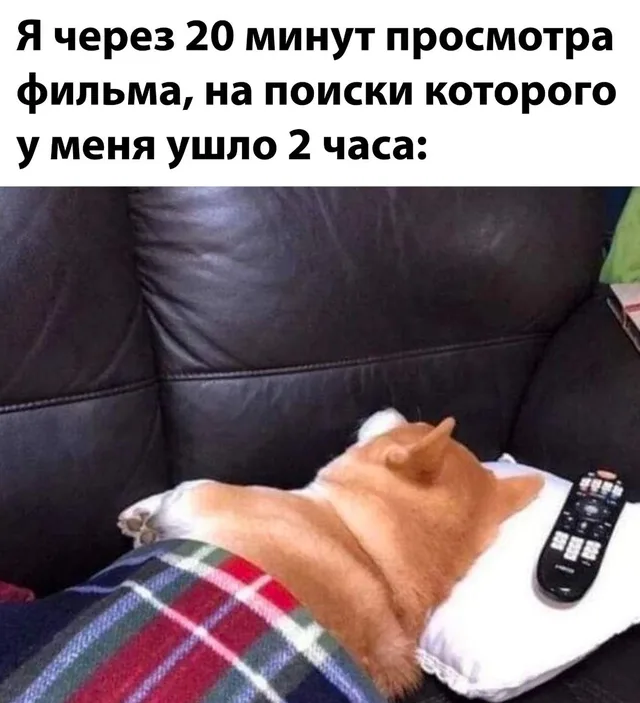 Собака спит, отвернувшись от телевизора, пульт лежит нетронутым. — собака породы корги