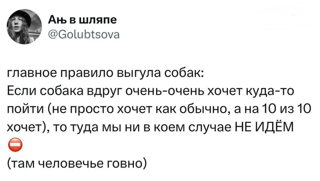Главное правило выгула собак