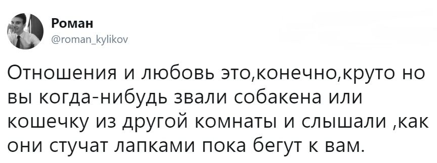 Зовешь питомца из другой комнаты