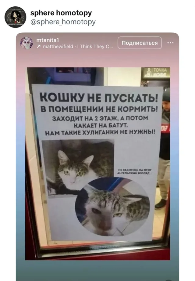 Кошку не пускать, какает на батут